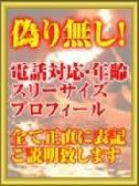 嘘、偽り無し