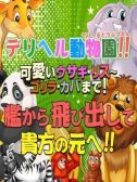 デリヘル動物園開園です（デリヘル動物園　柏店・柏のデリヘル嬢）