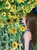 藤咲のえる（ブルーバード・横浜駅のデリヘル嬢）