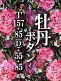 牡丹～ボタン（ドMな奥さん日本橋店）