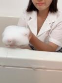 かりん（大高・大府市・東海市ちゃんこ・名古屋のデリヘル嬢）