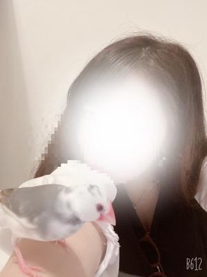 なつち