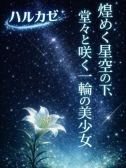 ハルカゼ（ギャルズネットワーク姫路・明石・姫路のデリヘル嬢）