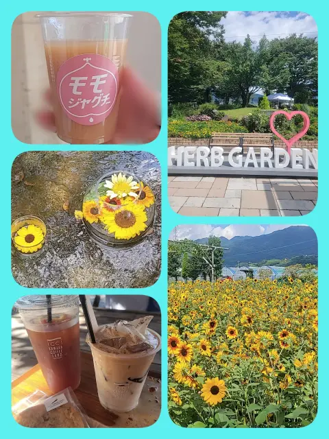 めぐみの写メ日記