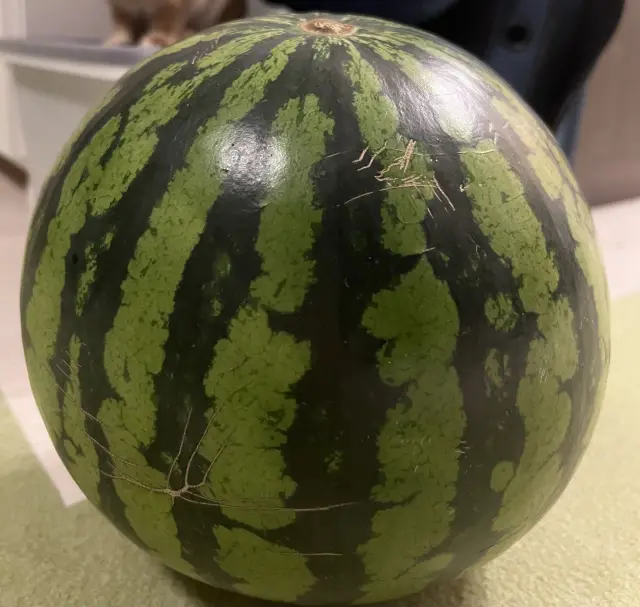 さやかの写メ日記