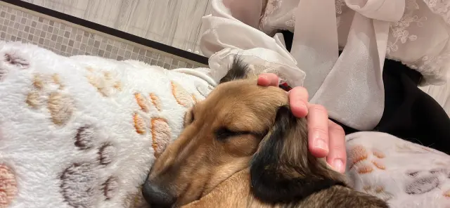 こころの写メ日記