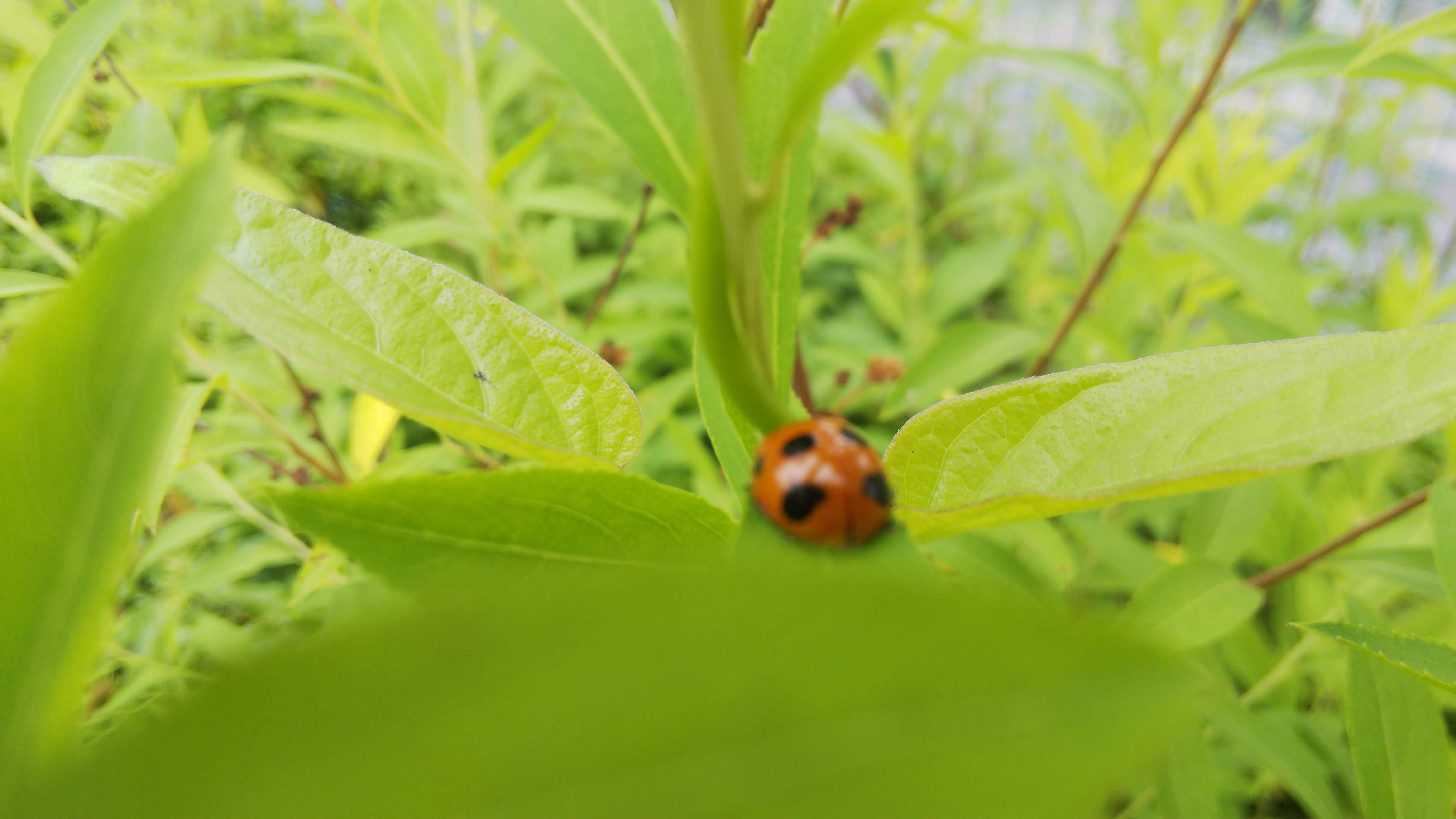 えりの写メ日記
