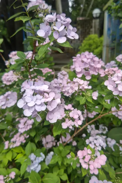 えりの写メ日記