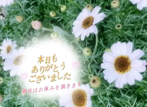 みさの写メ日記