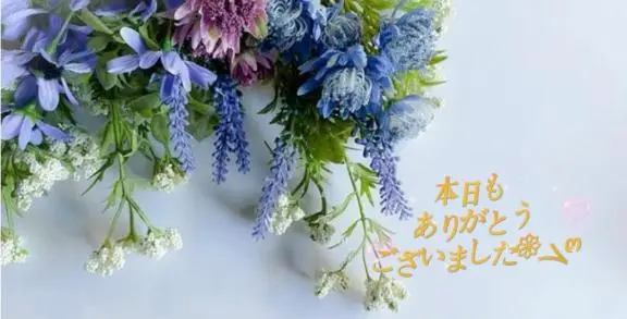 みさの写メ日記