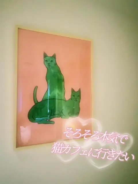 みさの写メ日記