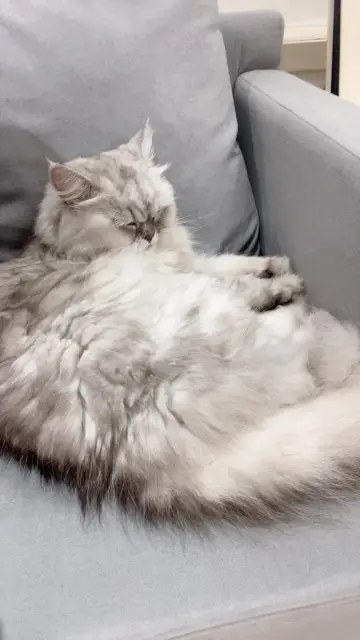 ちはるの写メ日記