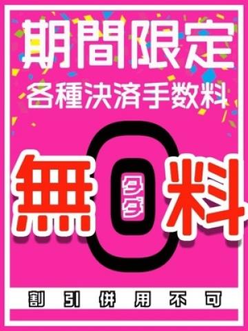 各種決済手数料無料（元祖!ぽっちゃり倶楽部Hip's馬橋店・松戸のデリヘル嬢）