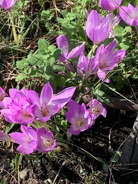 えみの写メ日記