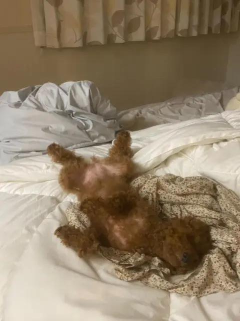 かれんの写メ日記