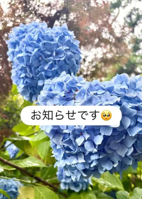 めいの写メ日記