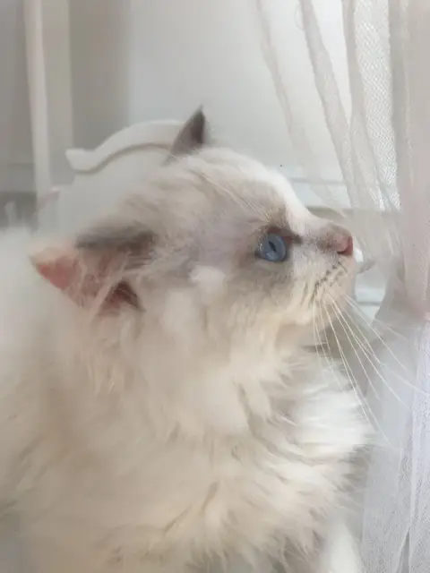 なほの写メ日記