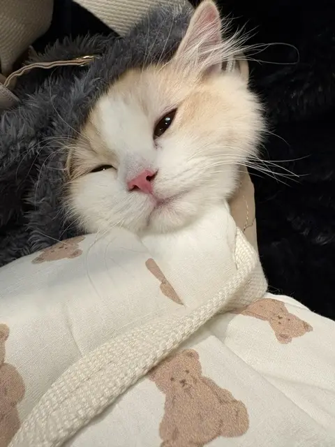 そらの写メ日記
