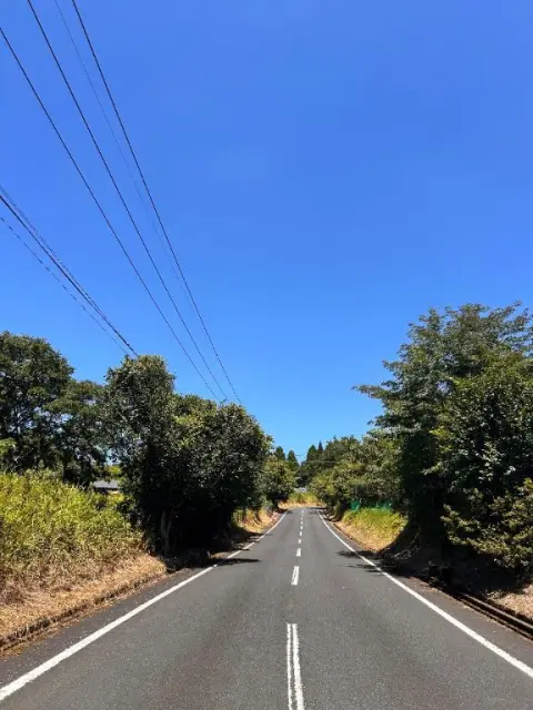 繭(まゆ)の写メ日記