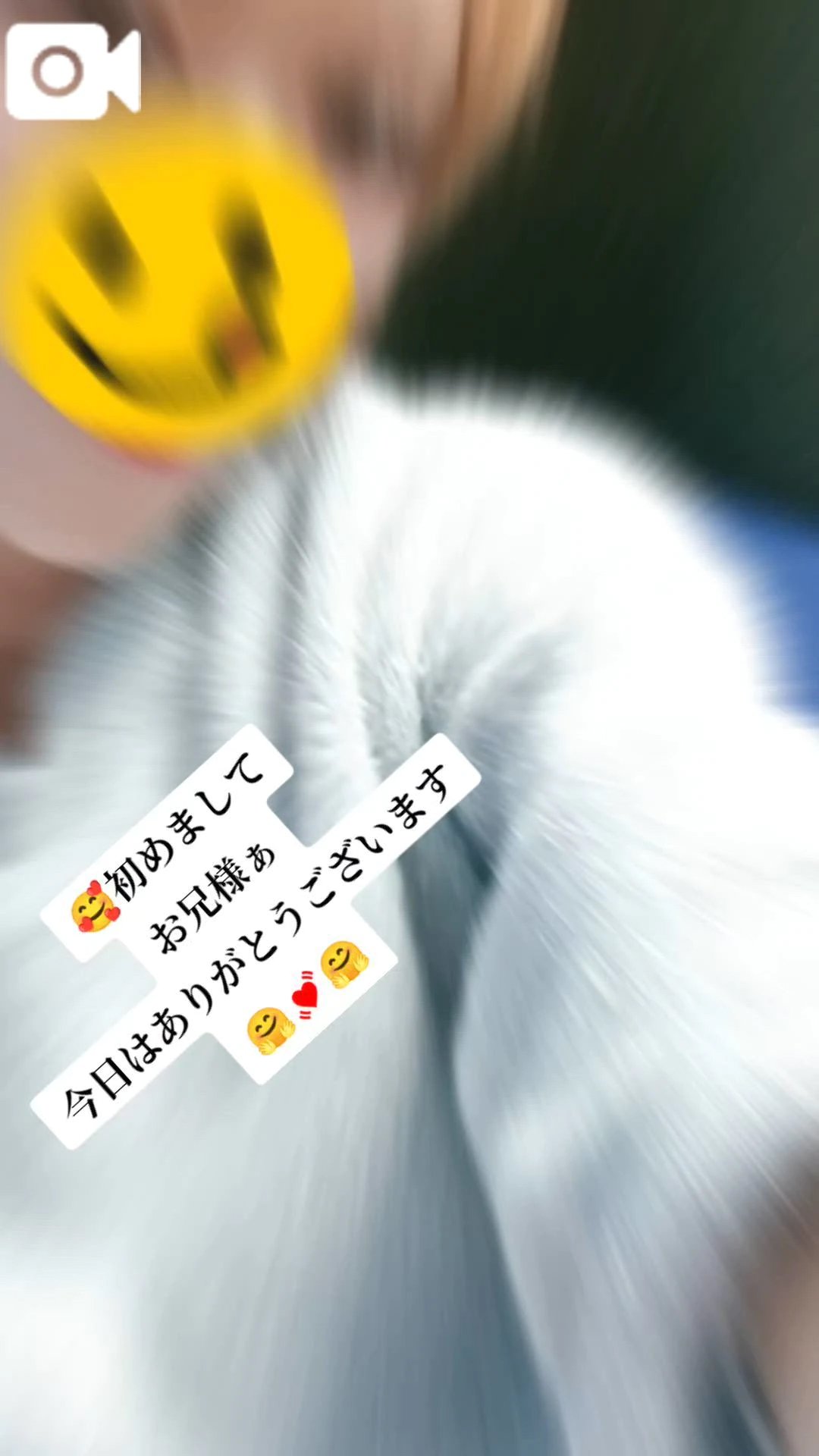 こむぎの写メ日記