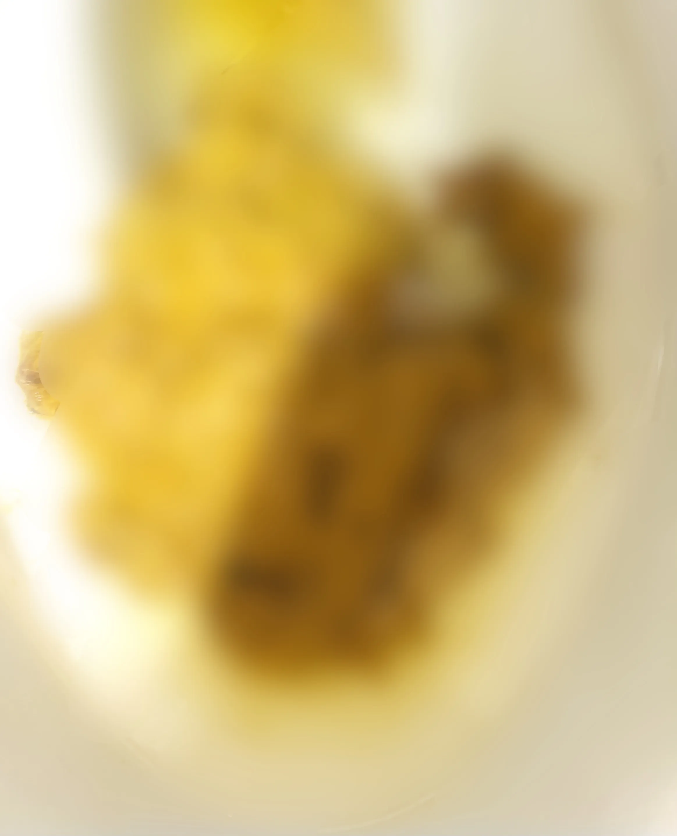 みさきの写メ日記