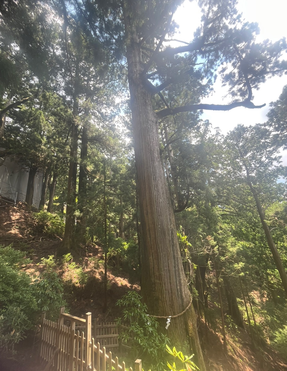 れいなの写メ日記