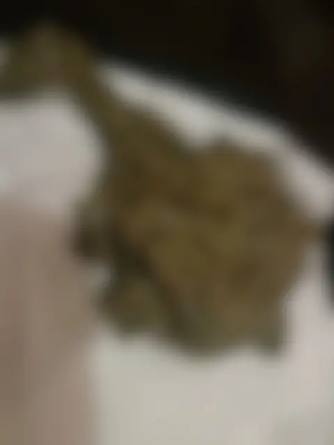 れいなの写メ日記