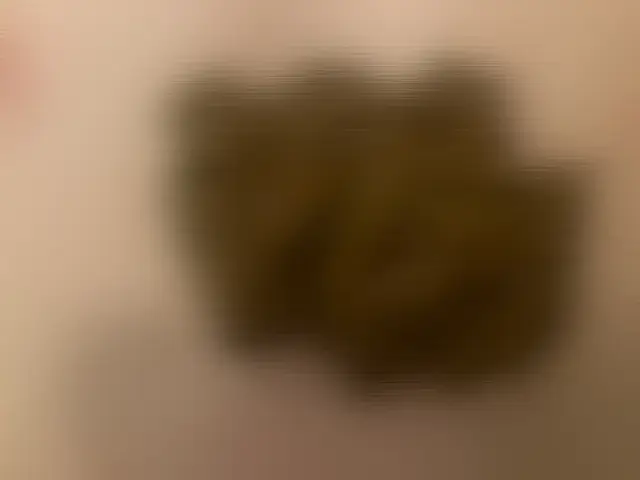 れいなの写メ日記