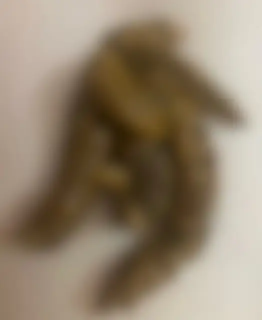 れいなの写メ日記