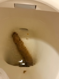 ぼたんの写メ日記