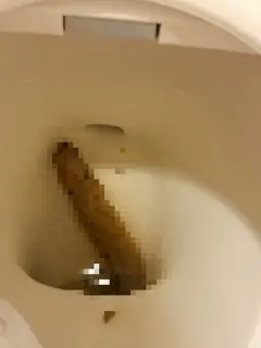 ぼたんの写メ日記
