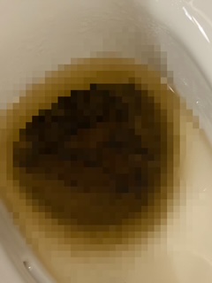 ぼたんの写メ日記
