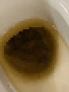 ぼたんの写メ日記