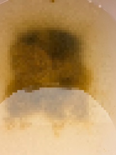 ぼたんの写メ日記