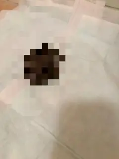 ぼたんの写メ日記