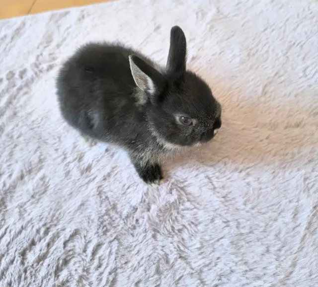 ありすの写メ日記