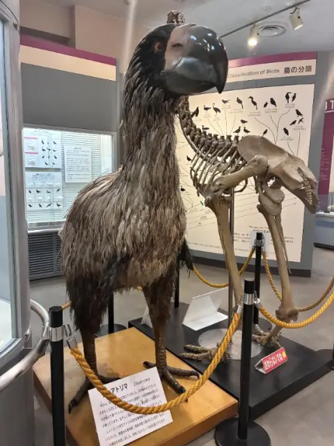 虹村　響の写メ日記