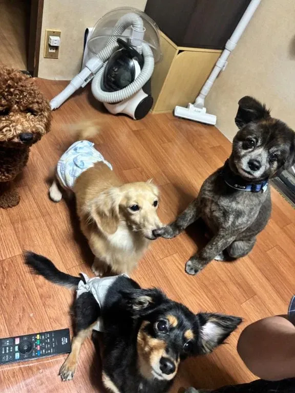 なのかの写メ日記